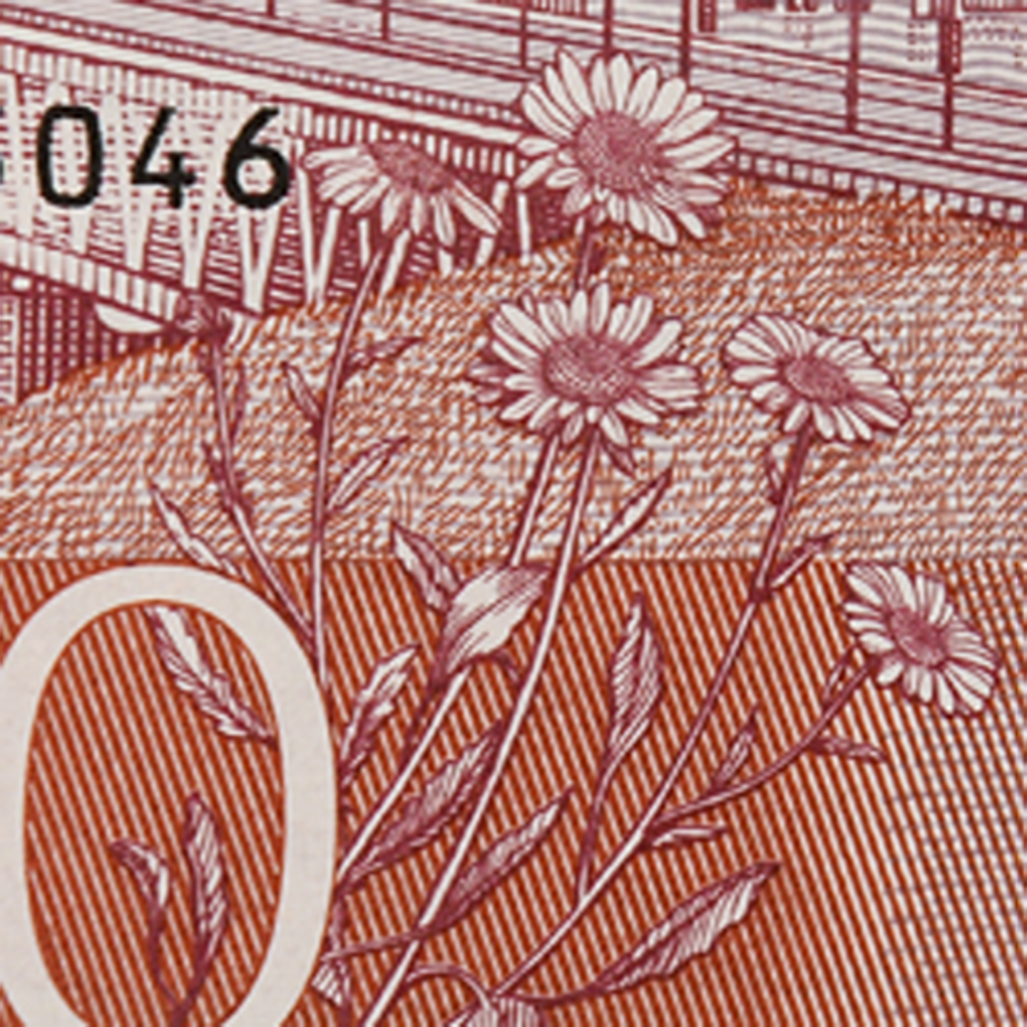 500-koronorssedel blomma bak)