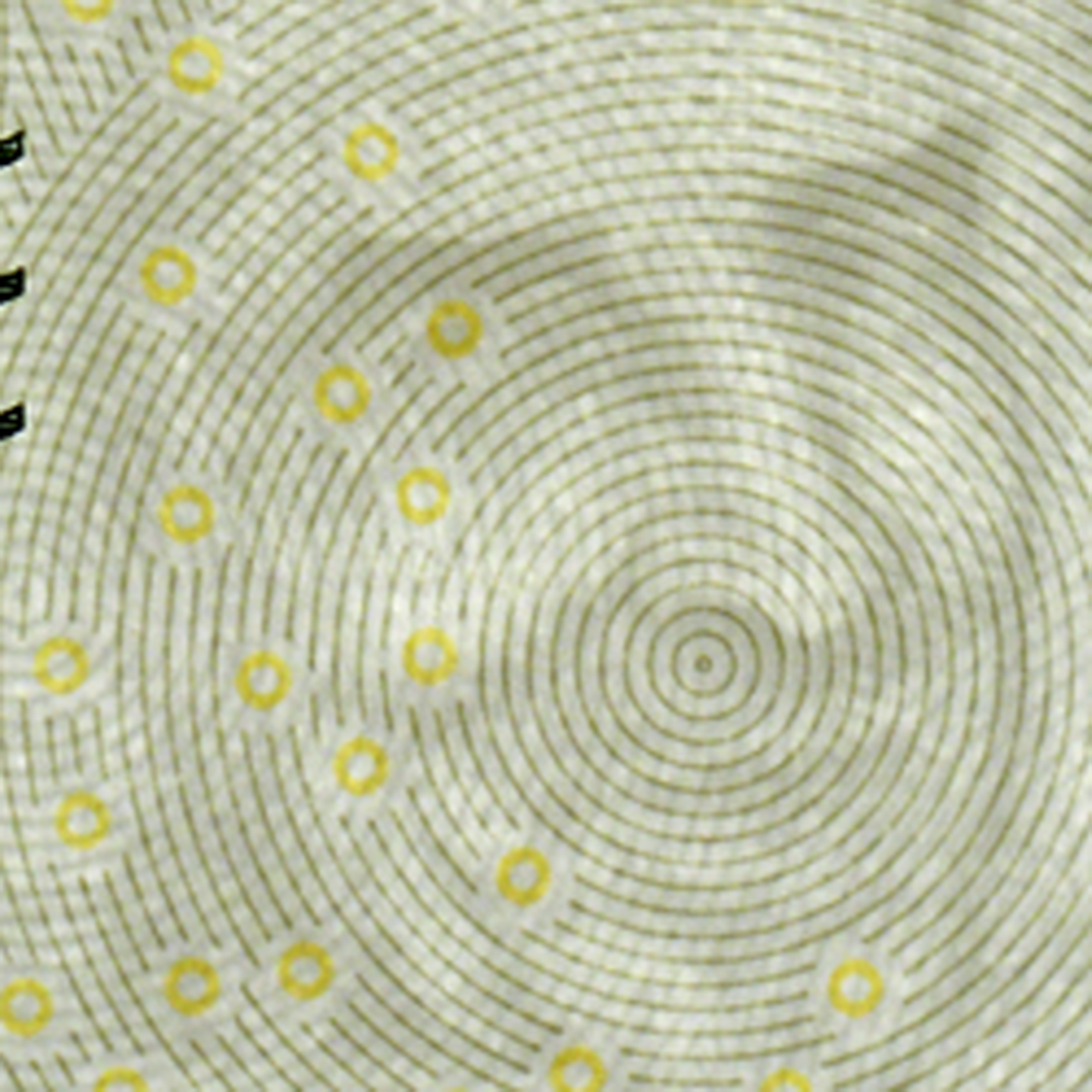 200-kronorssedel vattenmärke fram)