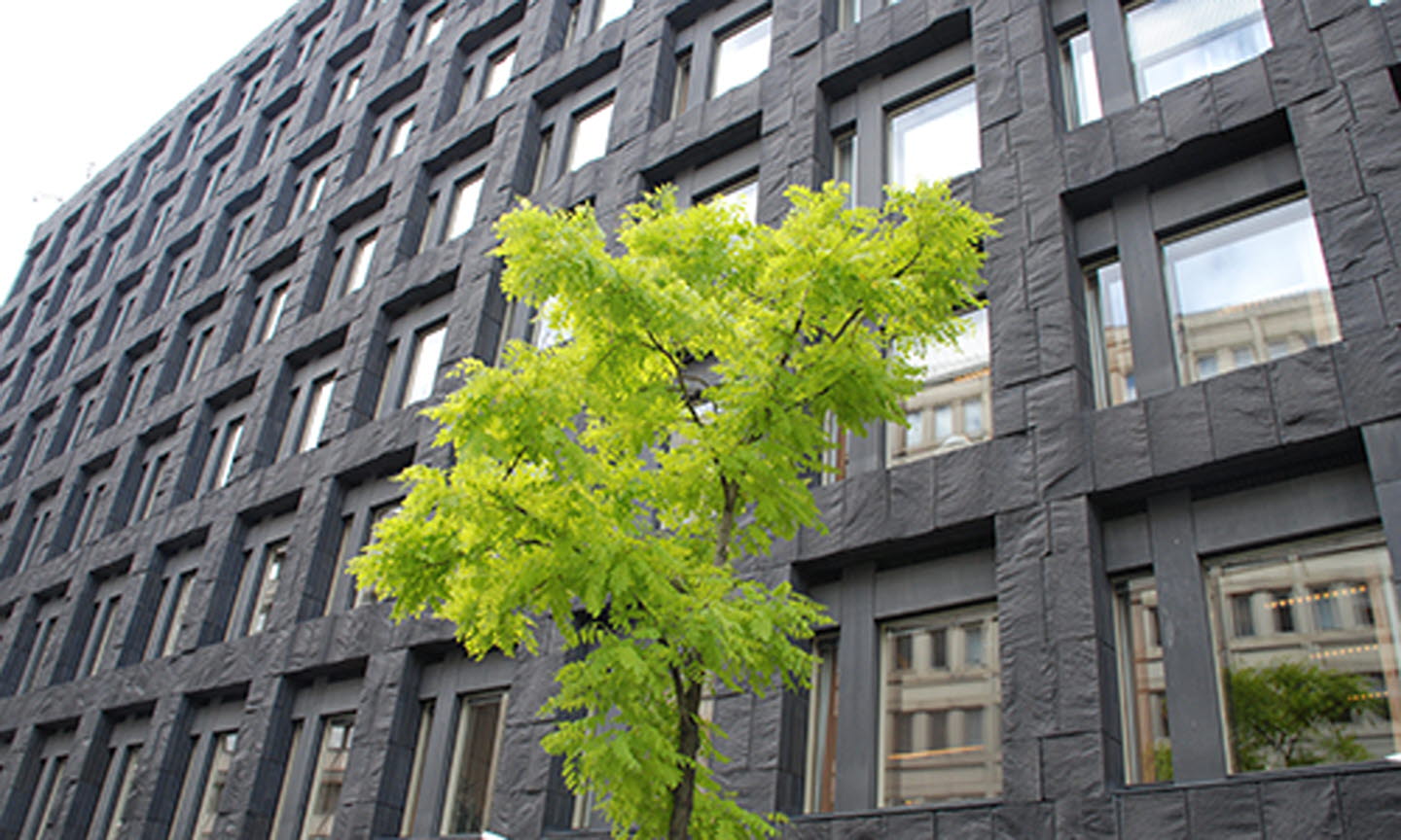 The Riksbank building and a tree