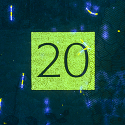 20-kronorssedel UV-bild bak