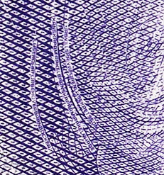 20-kronorssedel minitext hår fram