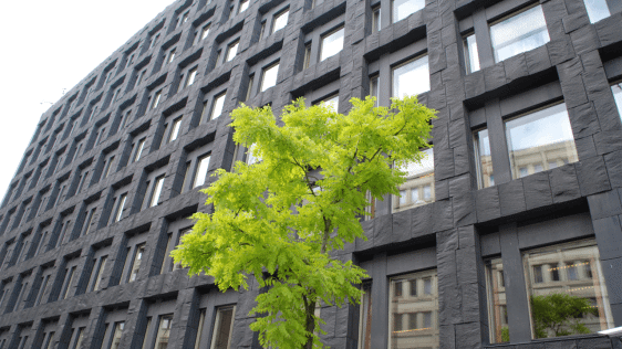 Film about the Riksbank building