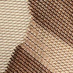 1000-kronorssedel mikrotext fram