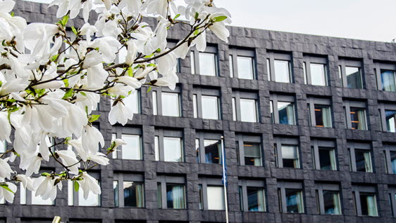 Film om riksbankshuset