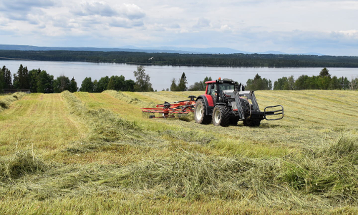 En röd traktor på en åker