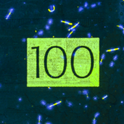 100-kronorssedel UV-bild bak