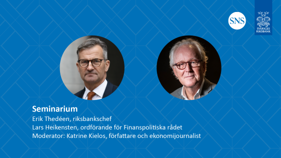 Seminarium: De ekonomisk-politiska ramverken
