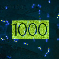 1000-kronorssedel UV-bild bak