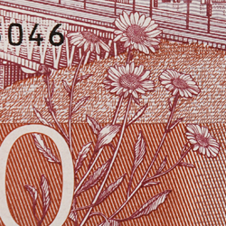 500-koronorssedel blomma bak