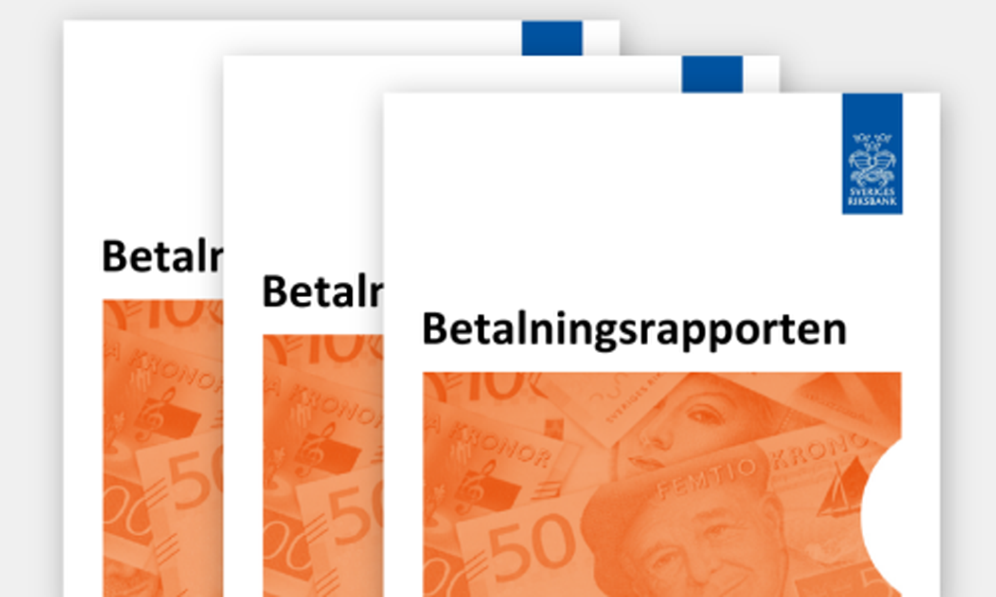 Betalningsrapporten omslag