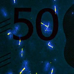 50-kronorssedel UV-fibrer fram