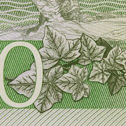 200-krona banknote motif ivy back
